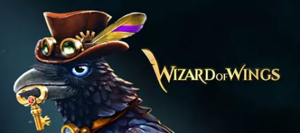 Wizard of Wings Escape thumbnail