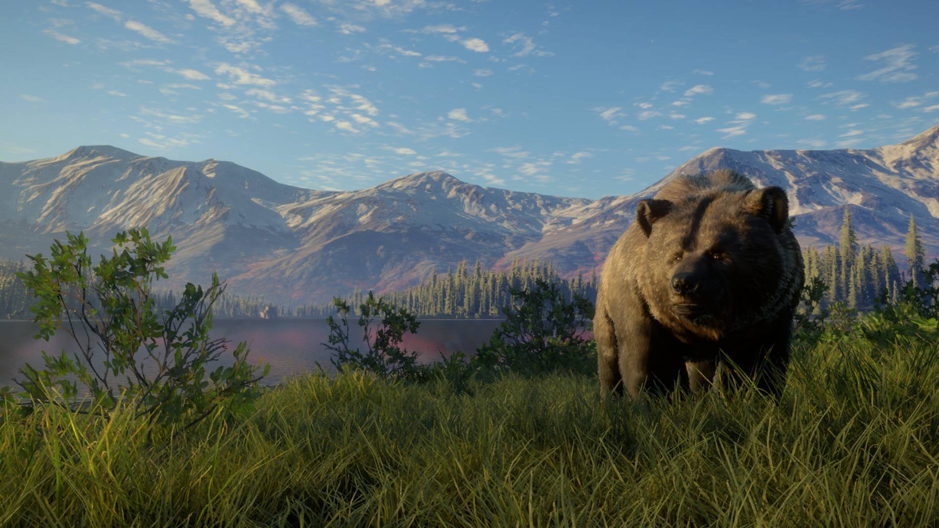 thehunter call of the wild pc review